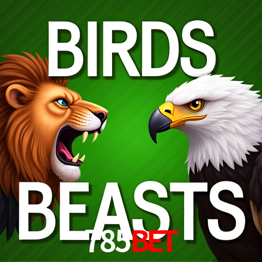 Football Betting 785bet